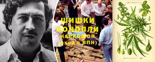 бошки Белокуриха