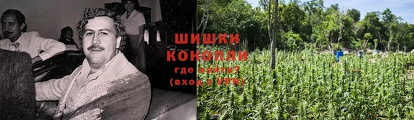 бошки Белокуриха