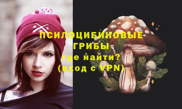 бошки Белокуриха