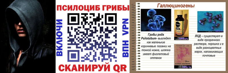 Галлюциногенные грибы Cubensis  Бобров 